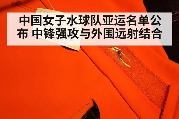 中国女子水球队亚运名单公布 中锋强攻与外围远射结合